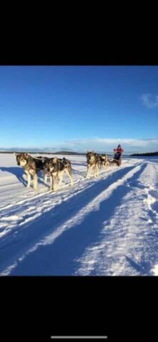 קירונה Northern Light Huts - Paradise Lapland מראה חיצוני תמונה