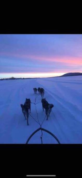 קירונה Northern Light Huts - Paradise Lapland מראה חיצוני תמונה
