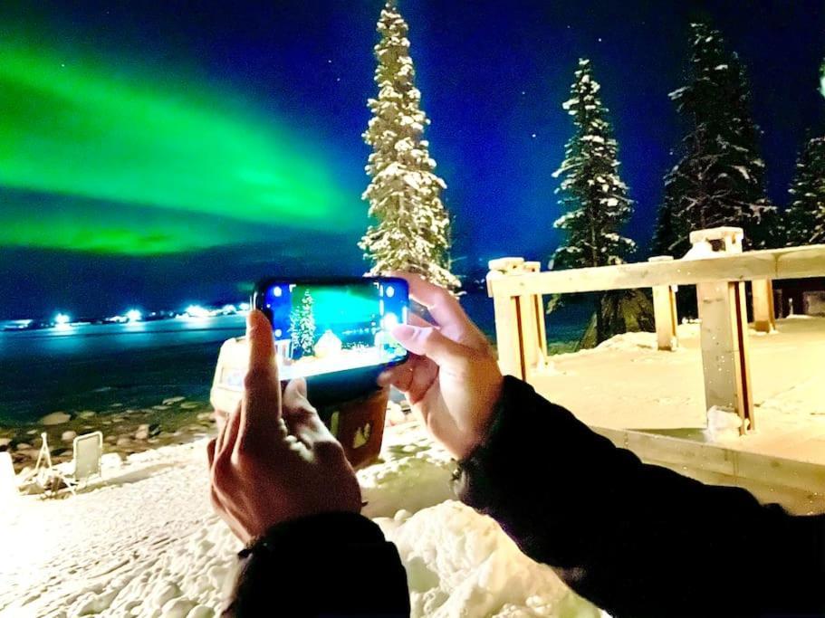 קירונה Northern Light Huts - Paradise Lapland מראה חיצוני תמונה